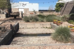 Mendoza: Tour de degustação de vinhos com almoço e transporte particular