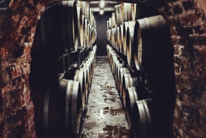 Mendoza: Tour de degustação de vinhos com almoço e transporte particular