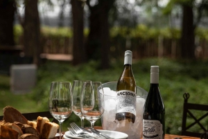 Mendoza: Tour de degustação de vinhos com almoço e transporte particular