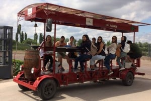 Mendoza : Dégustation de vins à vélo avec déjeuner facultatif