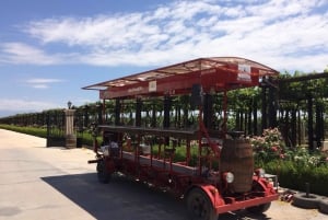 Mendoza: Weintour mit dem Rad & optionales Mittagessen