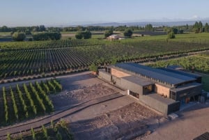 Mendoza: Rundtur på vingård, provsmakning och lunch på Pasaje La Reta