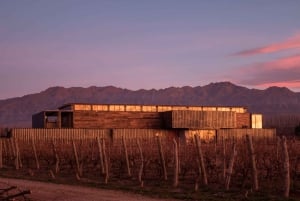 Mendoza: Rundtur på vingård, provsmakning och lunch på Pasaje La Reta