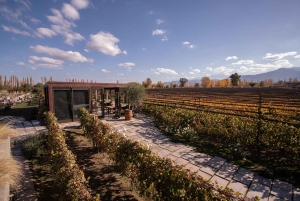 Mendoza: Rundtur på vingård, provsmakning och lunch på Pasaje La Reta