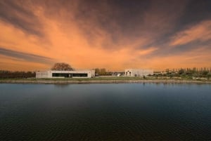 Mendoza: Rundtur på vingård, provsmakning och lunch på Pasaje La Reta