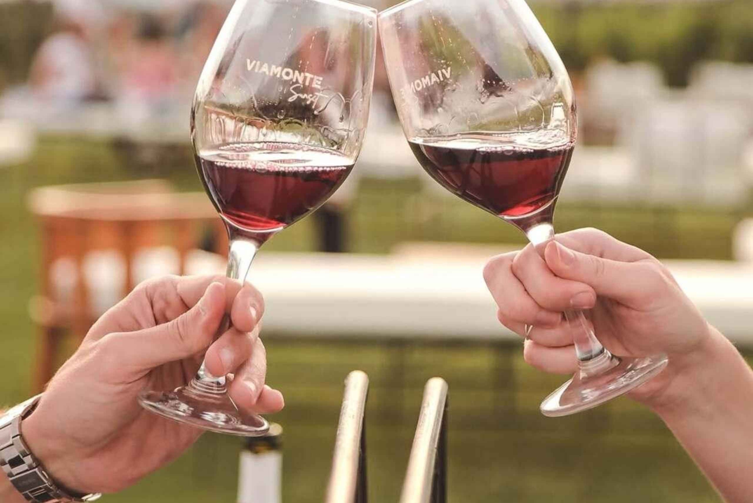 Mendoza: Vinos y Destilados con Almuerzo