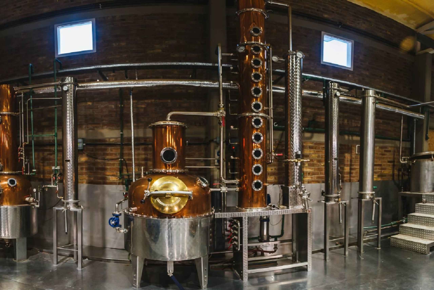 Mendoza: Vinos y Destilados con Almuerzo