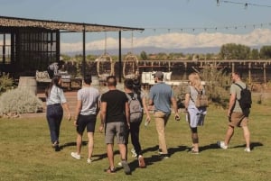 Mendoza: Wines and Spirits with Lunch