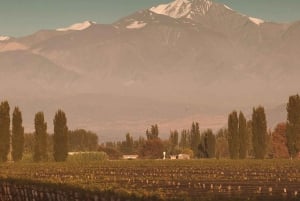 Mendoza: Wines and Spirits with Lunch