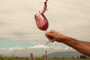 Mendoza: Vinos y Destilados con Almuerzo