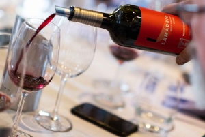 Mendoza: Vinos y Destilados con Almuerzo