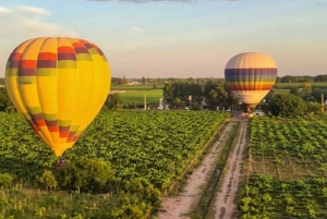 Cielos Dorados de Mendoza: Vuelo en Globo al Atardecer