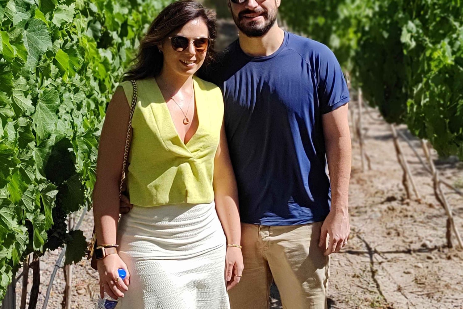 Mendozas beste vingårder! Private turer med alt inkludert!