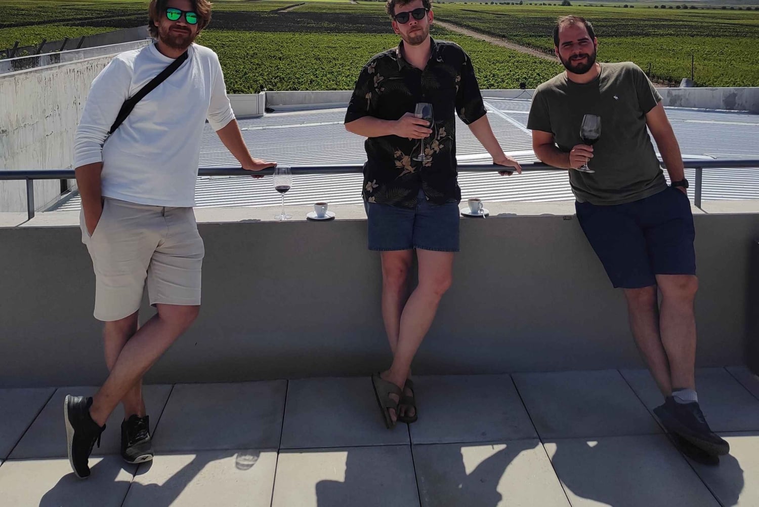 Mendozas beste vingårder! Private turer med alt inkludert!