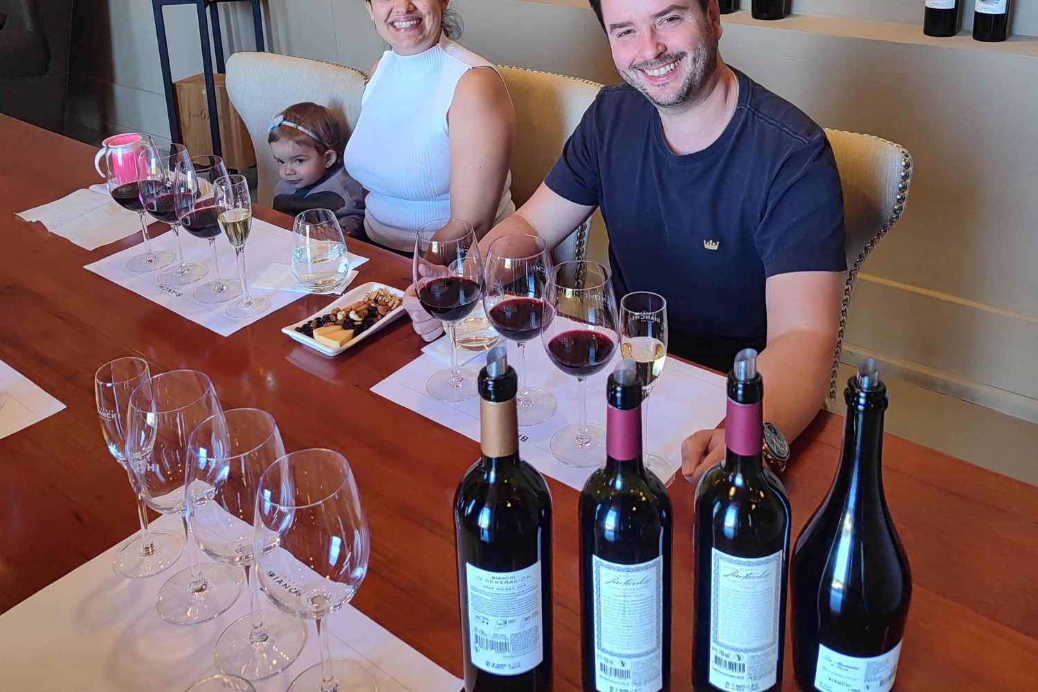 Mendozas beste vingårder! Private turer med alt inkludert!