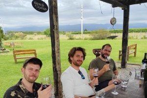 Mendozas beste vingårder - private turer med alt inkludert!