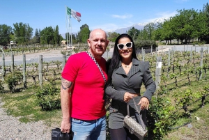 Mendozan parhaat viinitilat - All Inclusive Private Tours!