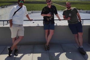 Mendozas beste vingårder! Private turer med alt inkludert!