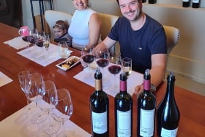 Mendozas beste vingårder! Private turer med alt inkludert!