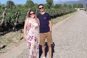 Mendozas beste vingårder! Private turer med alt inkludert!