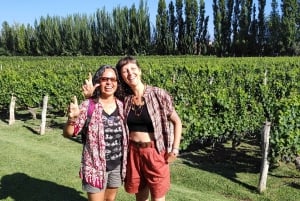 Mendozas beste vingårder! Private turer med alt inkludert!