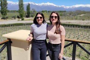 Mendoza's bästa vingårdar !Privat rundtur med besök på tre vingårdar