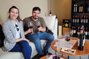 Najlepsze winiarnie w Mendozie !Prywatna wycieczka odwiedzająca trzy winiarnie