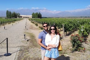 Mendozas beste Weingüter !Private Tour zu drei Weingütern