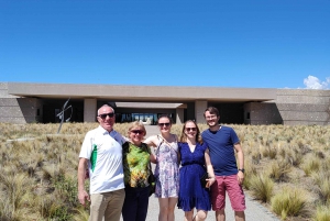 Las mejores bodegas de Mendoza: tour privado, catas y almuerzo