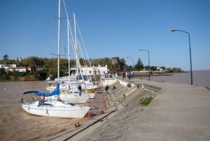 Montevideo: Colonia del Sacramenton kaupunkikierros noutopalvelun kanssa