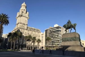 Montevideo : Tour guidato a piedi con una guida