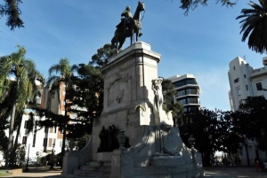 Montevideo : Tour guidato a piedi con una guida