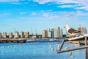 Montevideo: Punta del Este Landausflug in privat