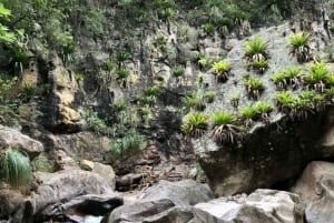 Mountains of Yungas : Condor Waterfall hiking adventure
