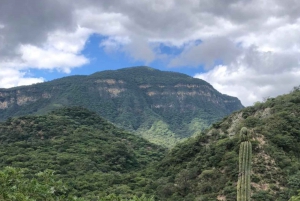 Mountains of Yungas : Condor Waterfall hiking adventure