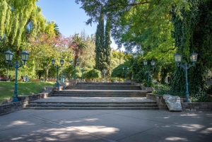 Municipal Museum of Modern Art of Mendoza Private Tour