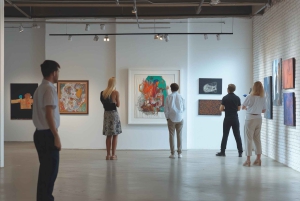 Municipal Museum of Modern Art of Mendoza Private Tour