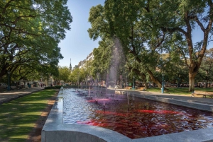 Municipal Museum of Modern Art of Mendoza Private Tour