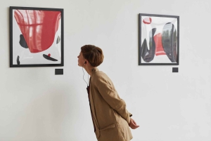 Municipal Museum of Modern Art of Mendoza Private Tour