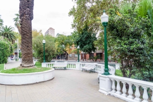 Municipal Museum of Modern Art of Mendoza Private Tour
