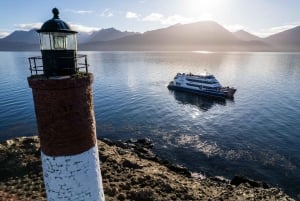 Fra Ushuaia: Katamarancruise i Beaglekanalen