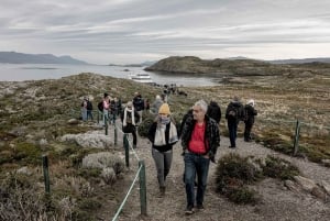 Fra Ushuaia: Katamarancruise i Beaglekanalen