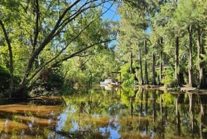 Navigation in Delta of Tigre - Exclusive semi private tour
