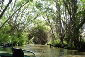 Navigation in Delta of Tigre - Exclusive semi private tour