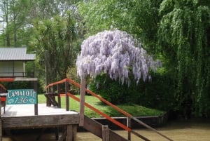 Navigation in Delta of Tigre - Exclusive semi private tour