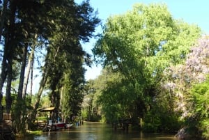 Navigation in Delta of Tigre - Exclusive semi private tour