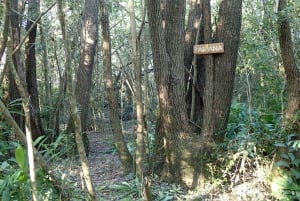 Navigation in Delta of Tigre - Exclusive semi private tour