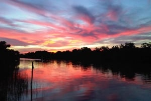 Navigation in Delta of Tigre - Exclusive semi private tour