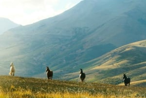 Argentina: avventura a cavallo con i gaucho nella Pampa