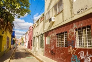 Palermo: Graffiti och gatukonst guidad tur på engelska